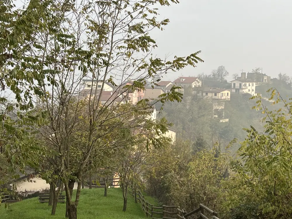 Bare trees and meadows in the Gavi hills