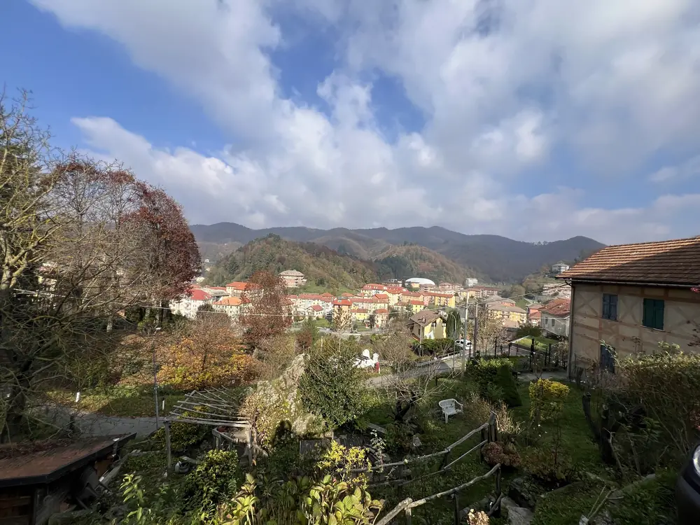 A village nestled in the green hills
