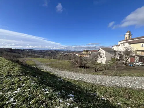 Vineyard rows and a country church