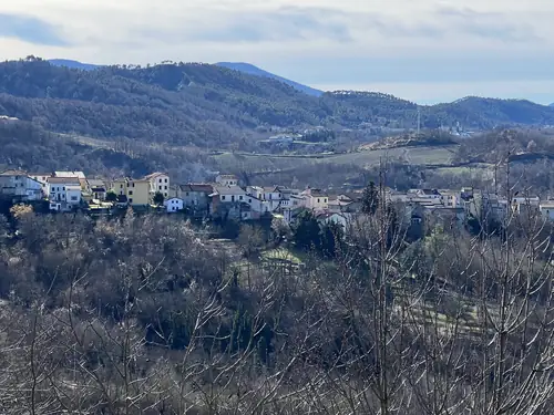 A wooded hillside above the town