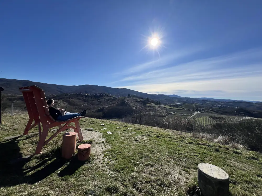 A hilltop bench looking over the vineyards