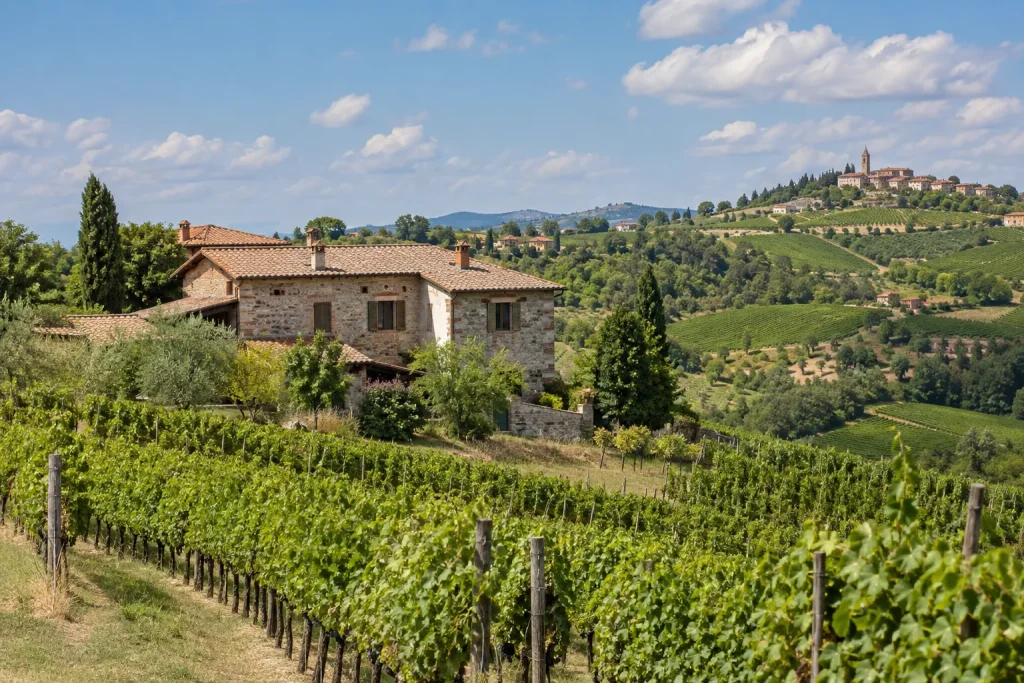 Kinnisvaraskaut vs kinnisvaramaakler Itaalias: mis vahe on? — property scout vs estate agent Italy in Piedmont, Italy