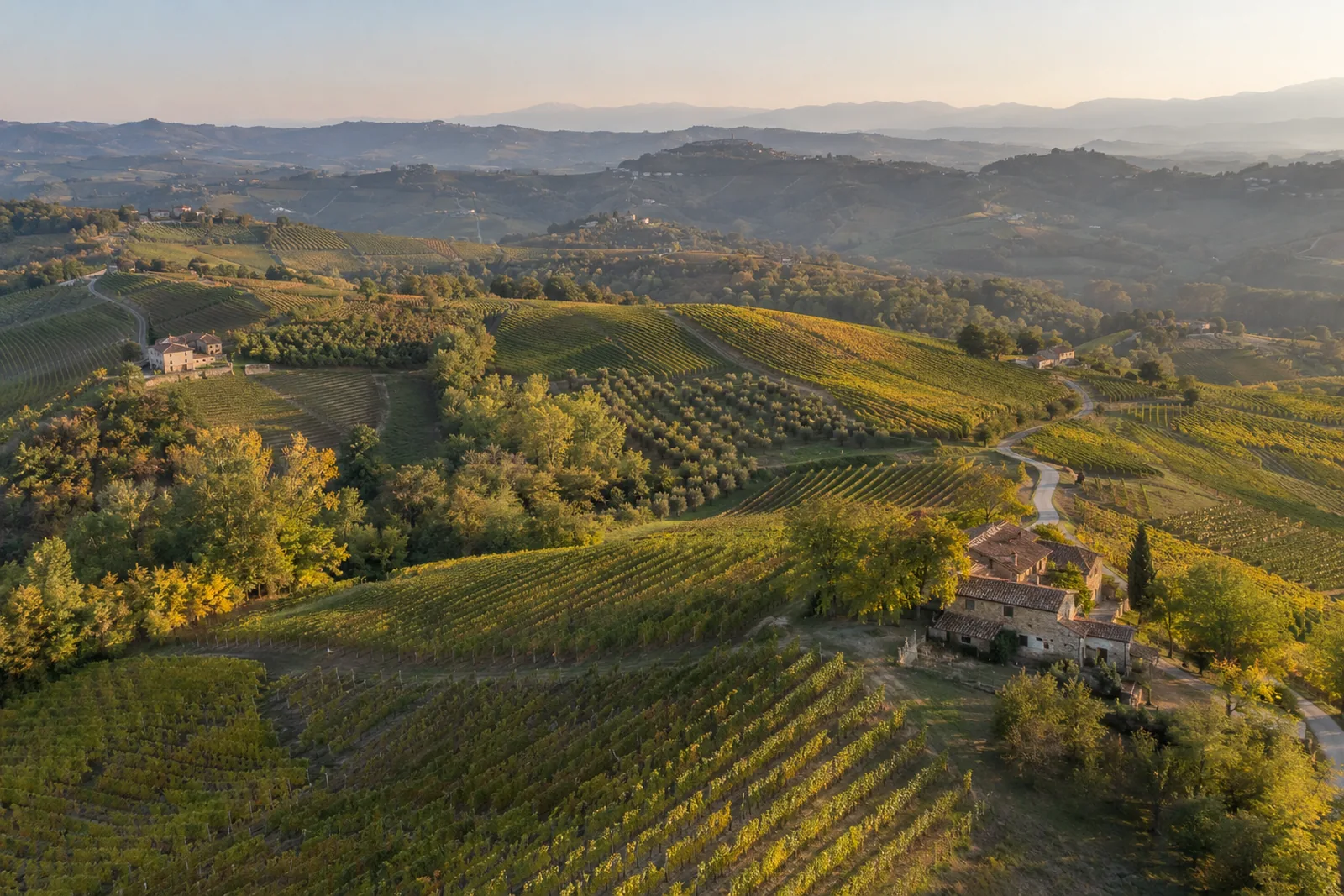 Aerial drone photo of vineyard hills and a stone farmhouse in Piedmont at golden hour
