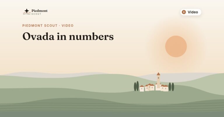 Piedmont Scout video: Ovada in numbers