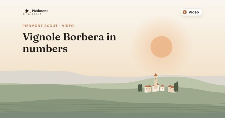 Piedmont Scout video: Vignole Borbera in numbers